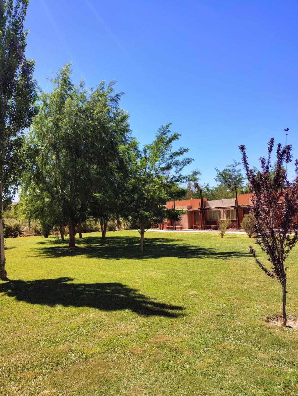 Celestino Posta Andina Otel Barreal Dış mekan fotoğraf